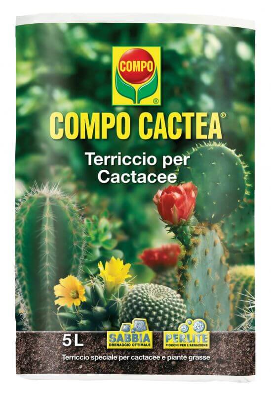 *TERRICCIO COMPO CACTEA LT.5