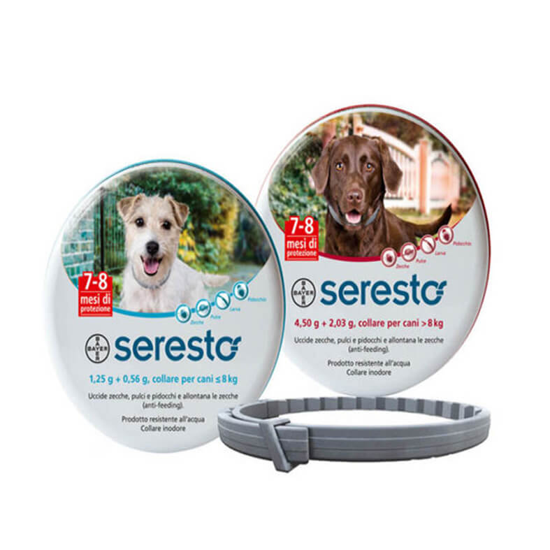 SERESTO COLLARE ANTIPARASSITARIO CANI MENO DI 8 KG