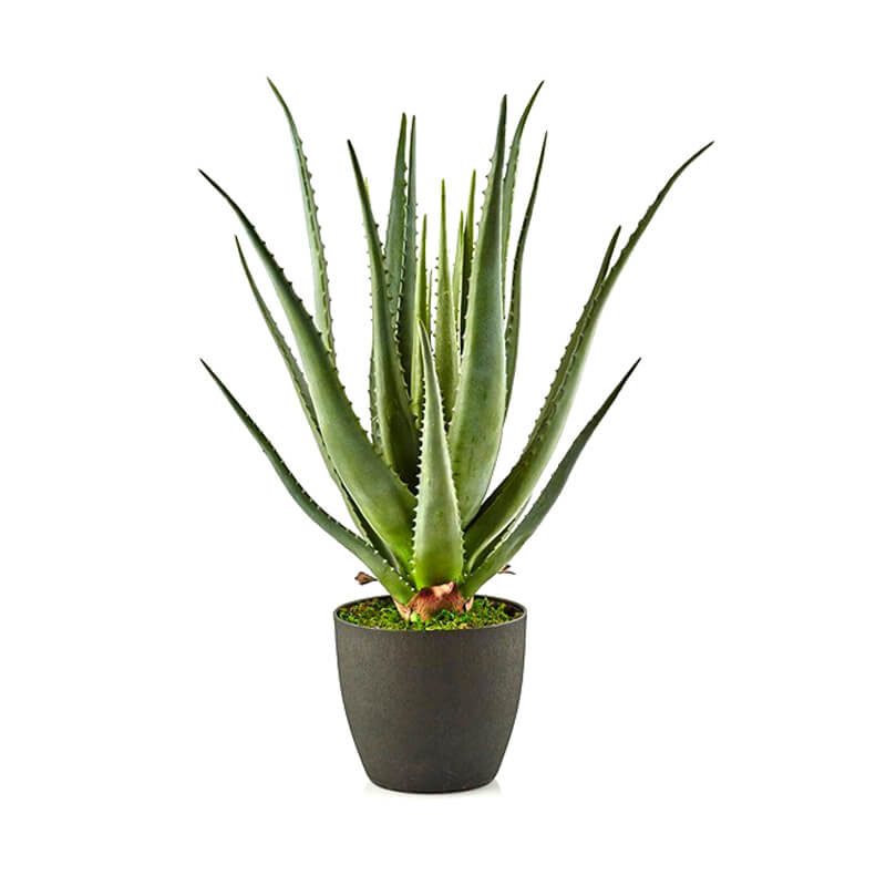 PIANTA ARTIFICIALE ALOE CON VASO H.70