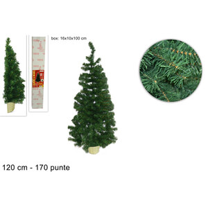 ALBERO MURO CM.120