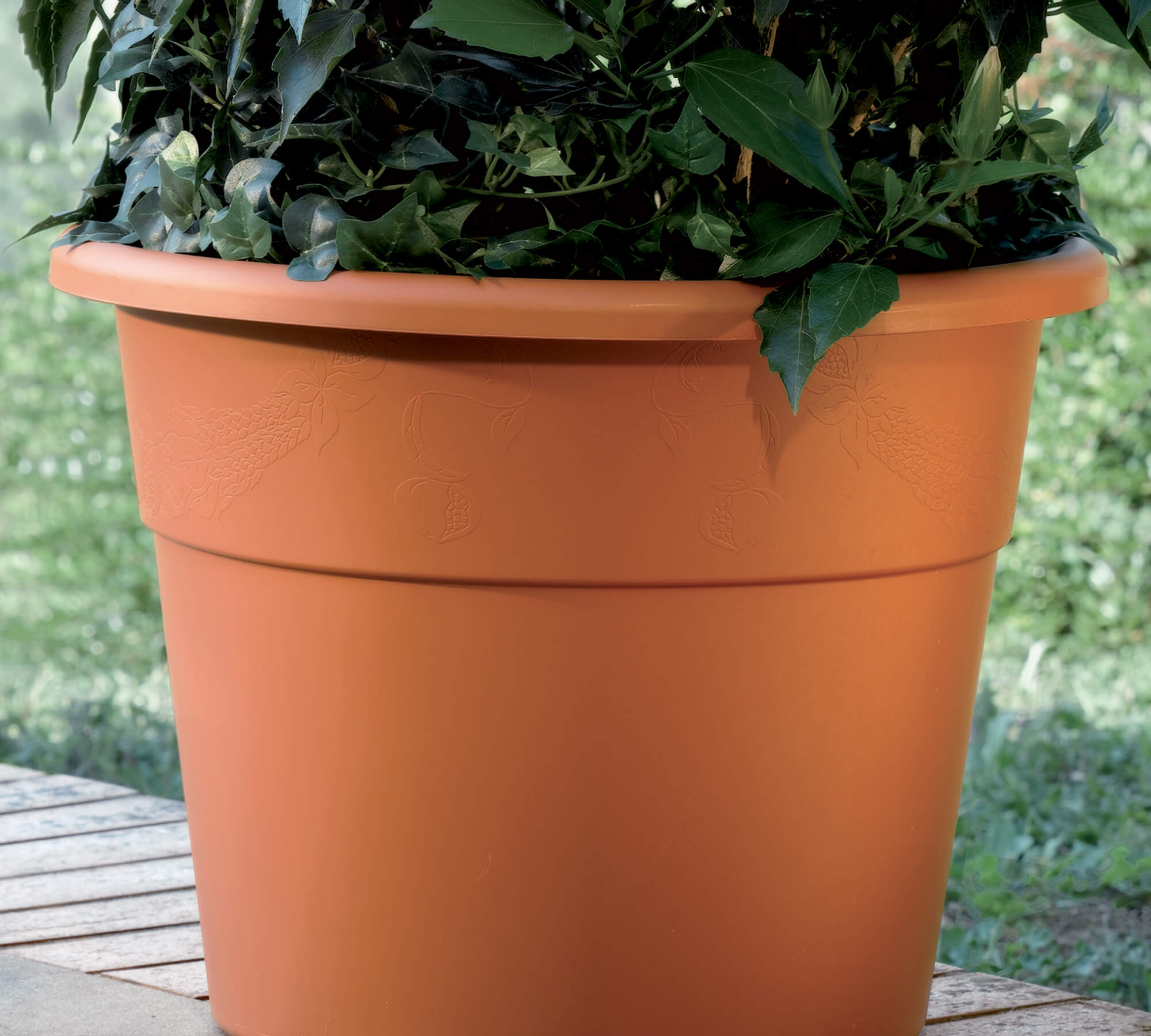 VASO HEDERA DIAM.20 TERRACOTTA