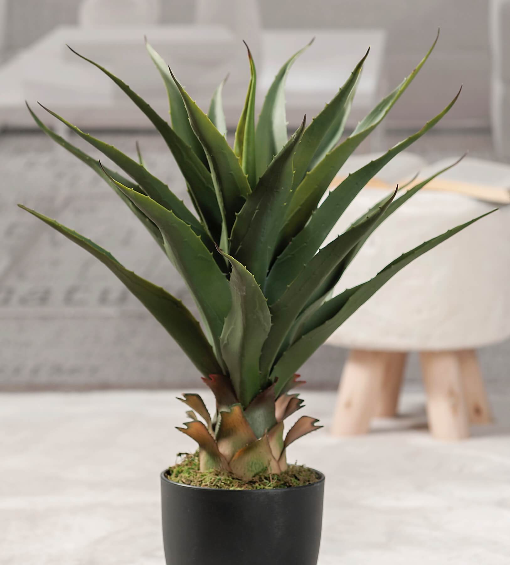 ALOE IN VASO PER DECORAZIONE H.70