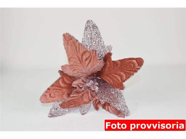 RO009955F
