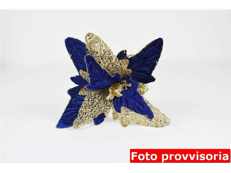 RO009955E