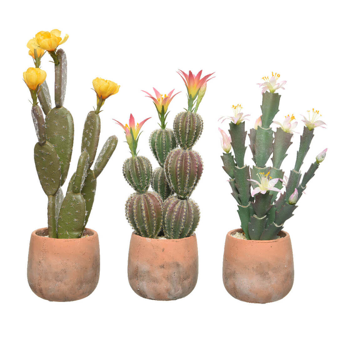 PIANTA ARTIFICIALE CACTUS IN VASO TERRACCOTTA ASS3