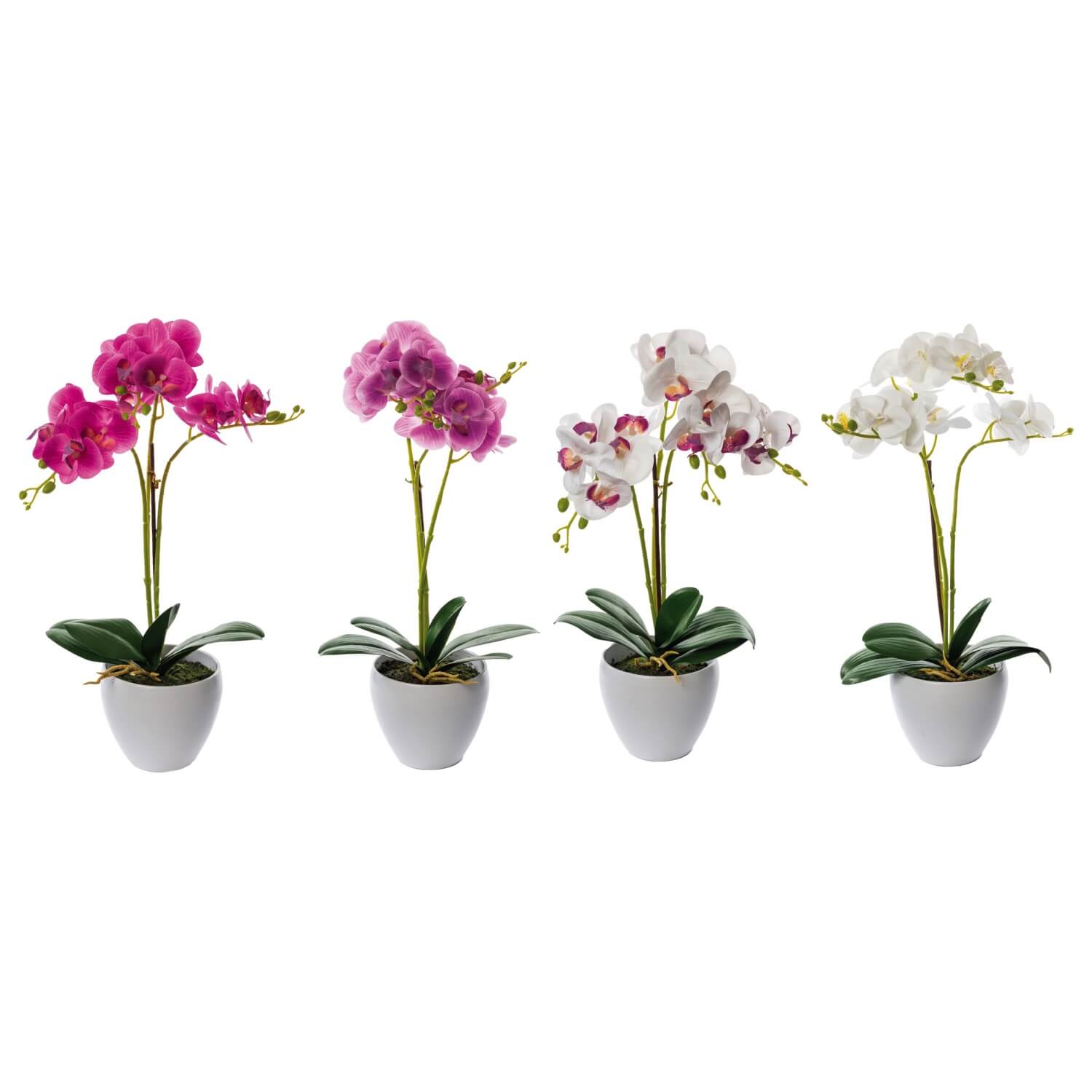 VASO CON ORCHIDEA CM.50 ASS.4 COLORI