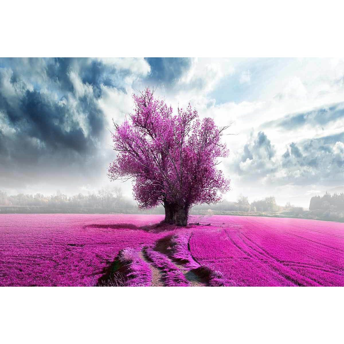 13144