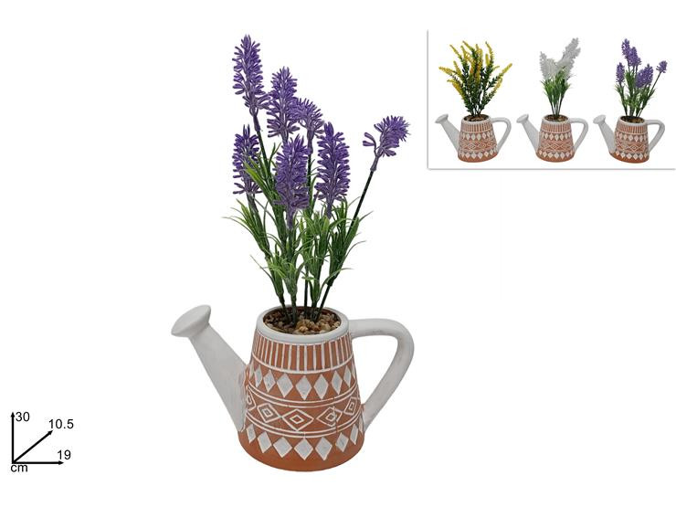 PIANTINA LAVANDA C/VASO CM.19 ASS.3