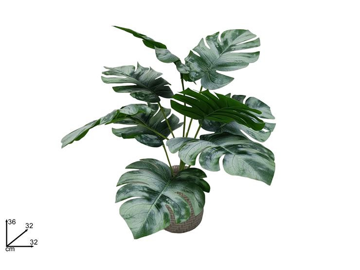 DEV23009431