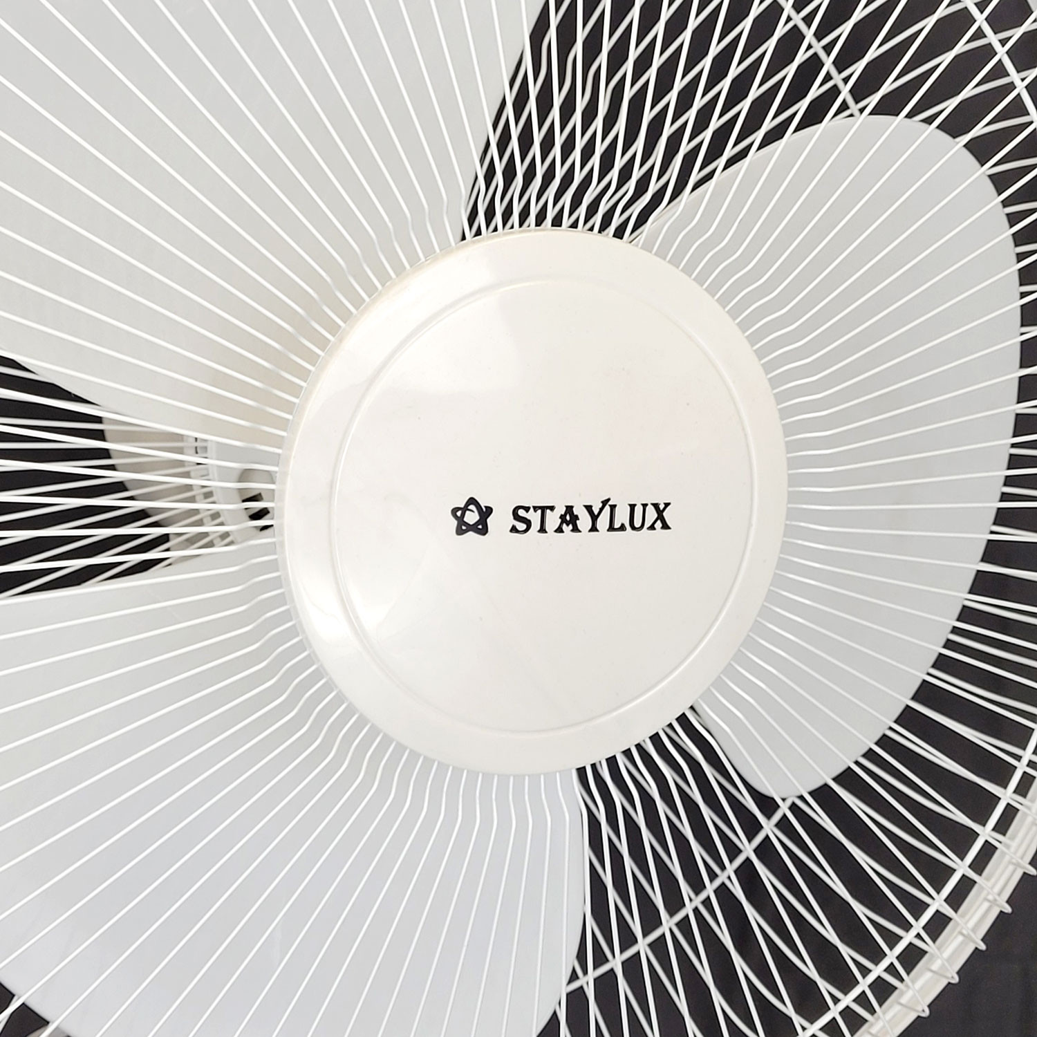 FAN16