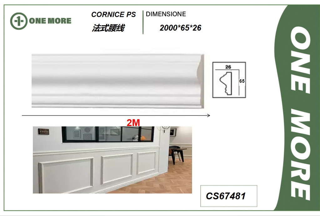 CS67481
