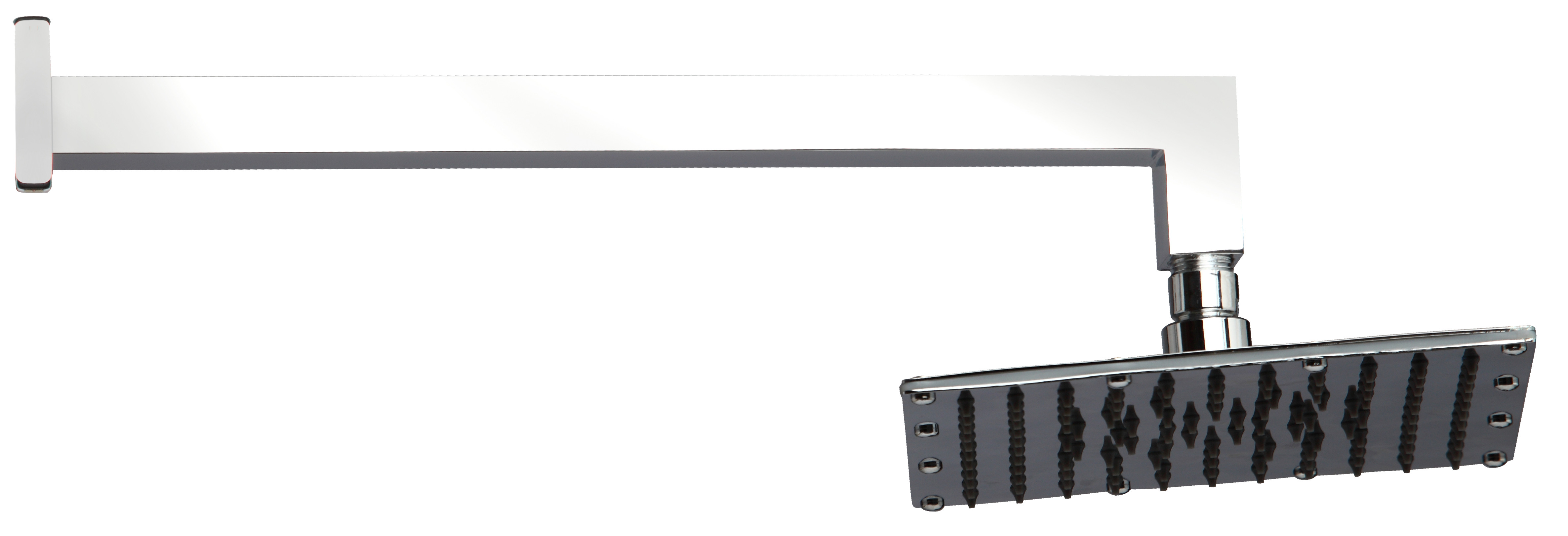 SCABRA0005OT
