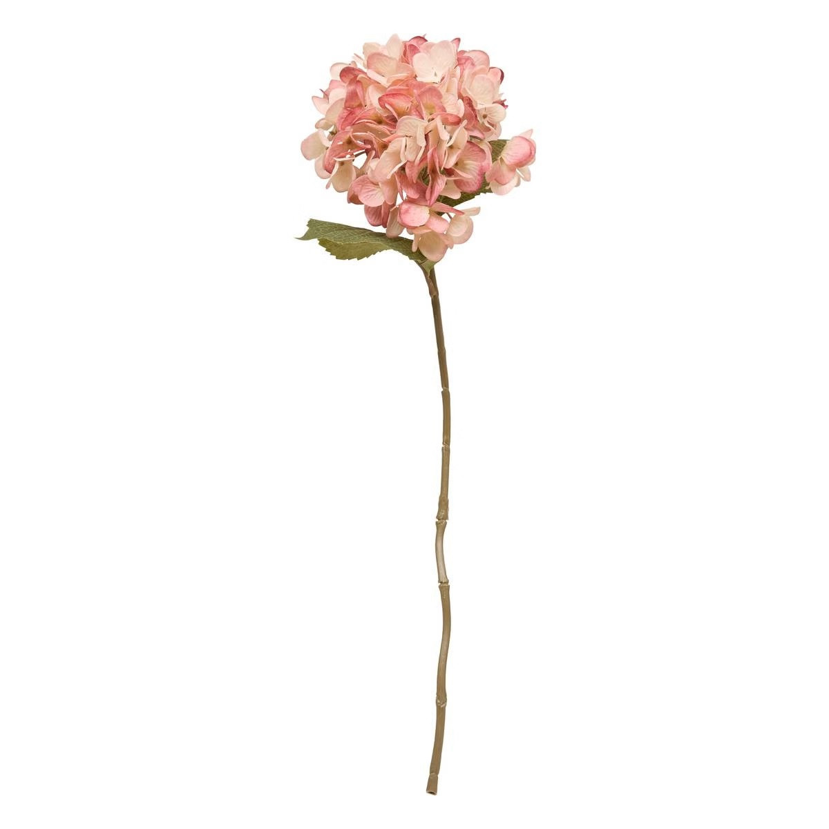 210169