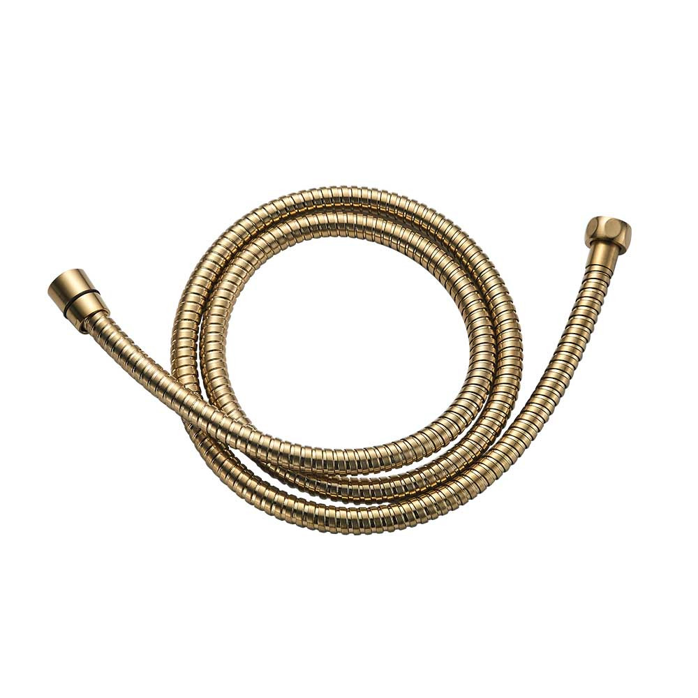 SAPFLE0104RO