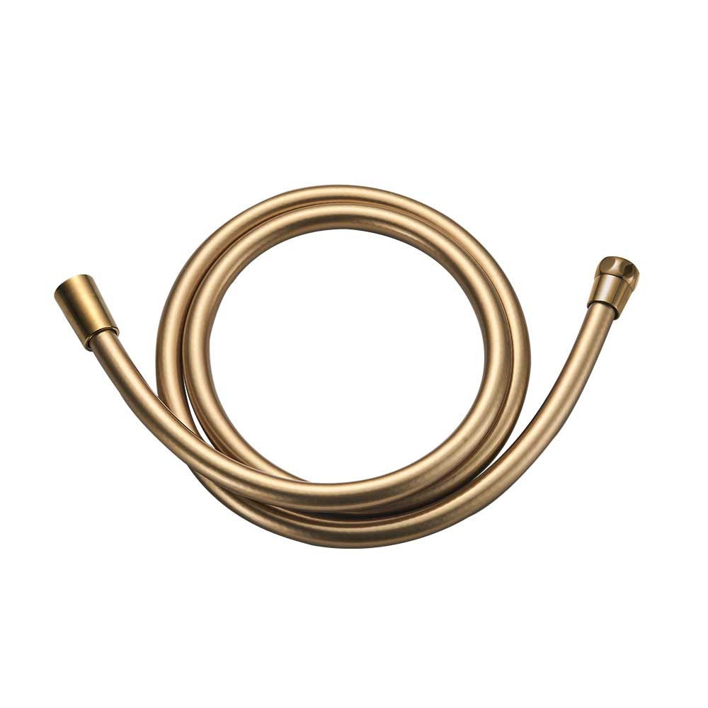 SAPFLE0110RO