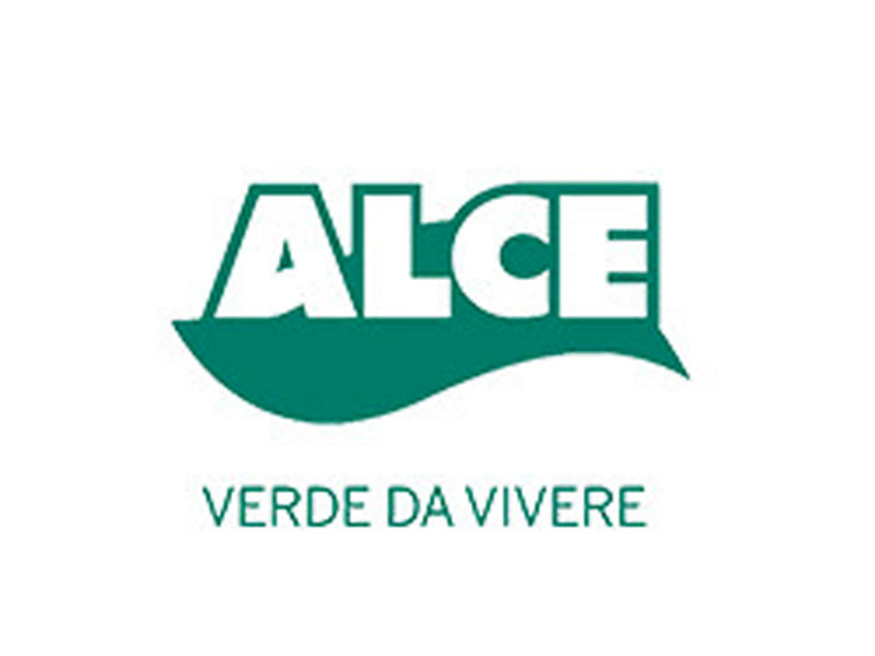 Alce