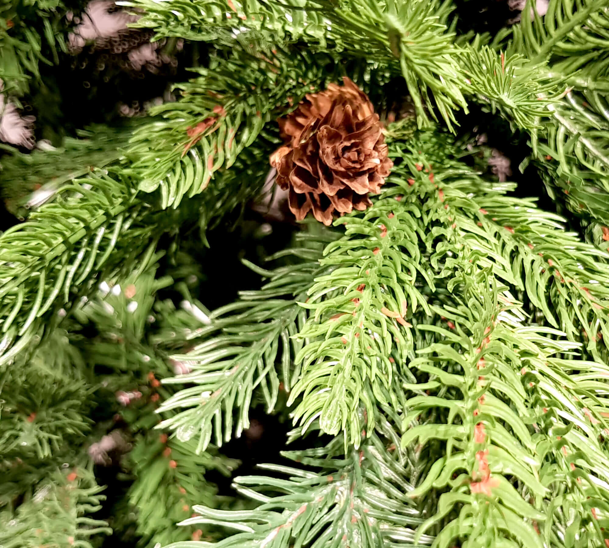 ALBERO DI NATALE MISTO CM.270 2373 PUNTE