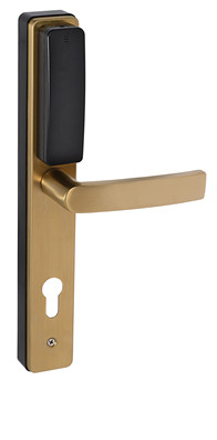 ELETTROMANIGLIA CON LETTORE RFID
