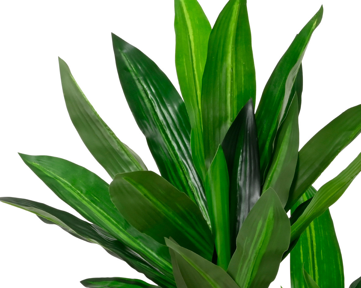 PIANTA DRACENA ARTIFICIALE D.65X105 VERDE