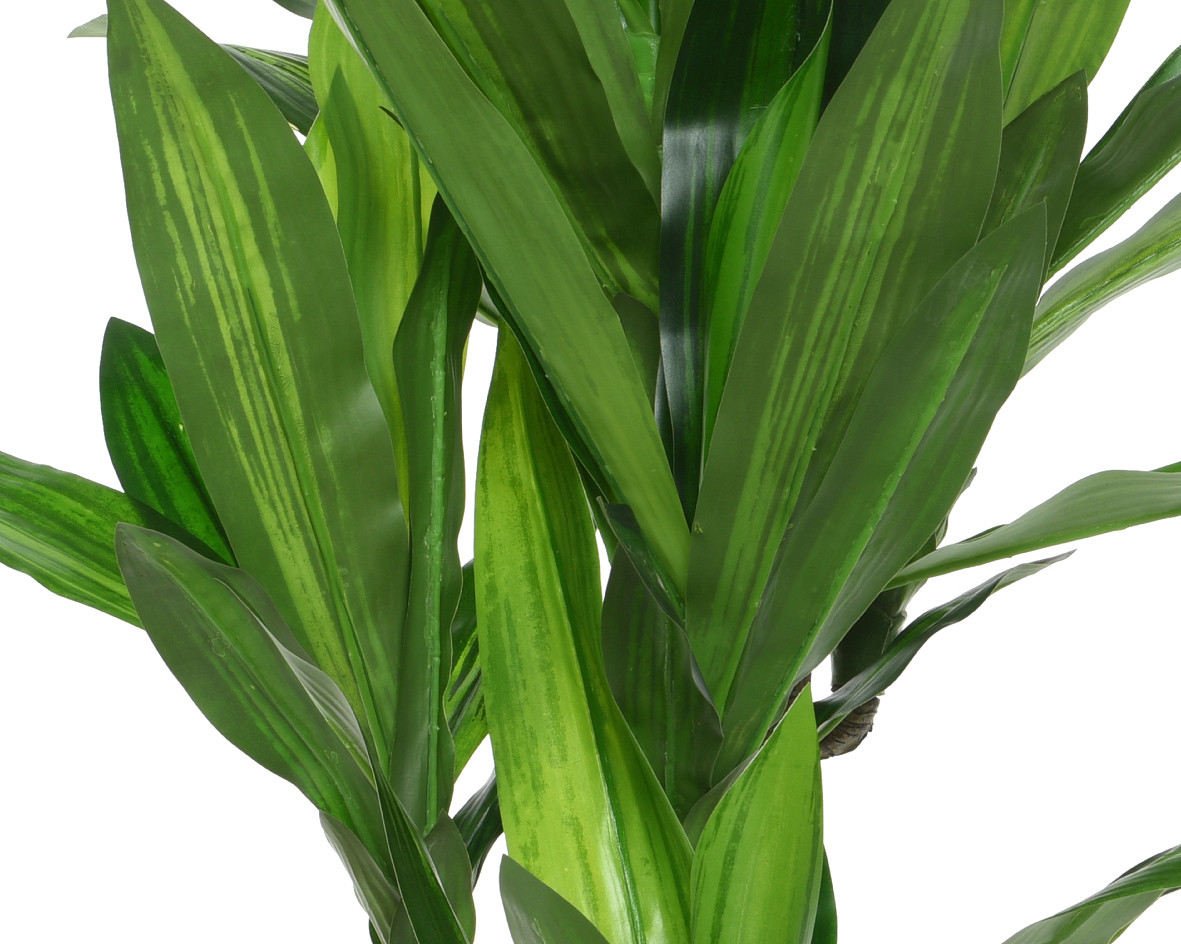 PIANTA DRACENA ARTIFICIALE D.65X105 VERDE