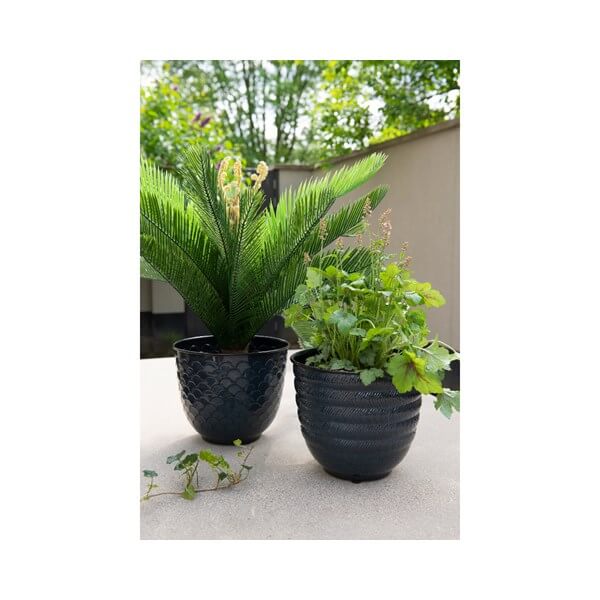 CYCAS IN VASO D.80X60H VERDE