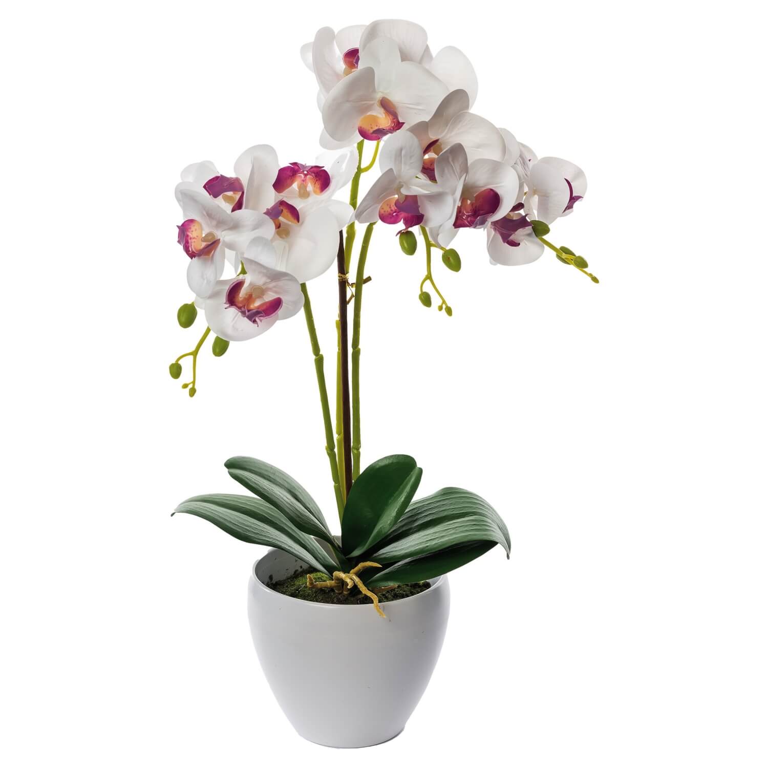 VASO CON ORCHIDEA CM.50 ASS.4 COLORI