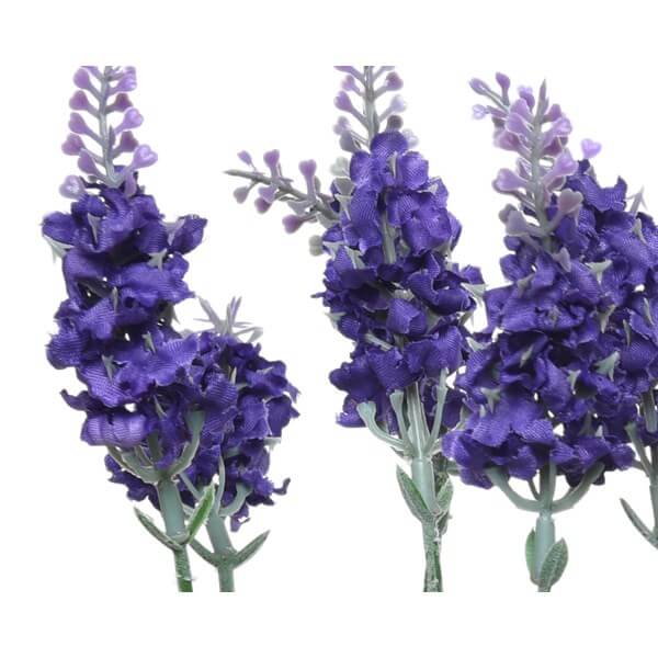 PIANTA LAVANDA ASS.3 COLORI