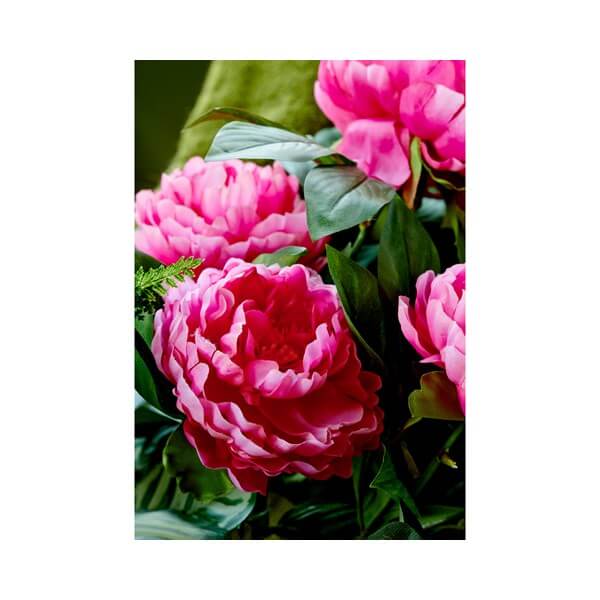 PEONIE IN VASO FUCSIA