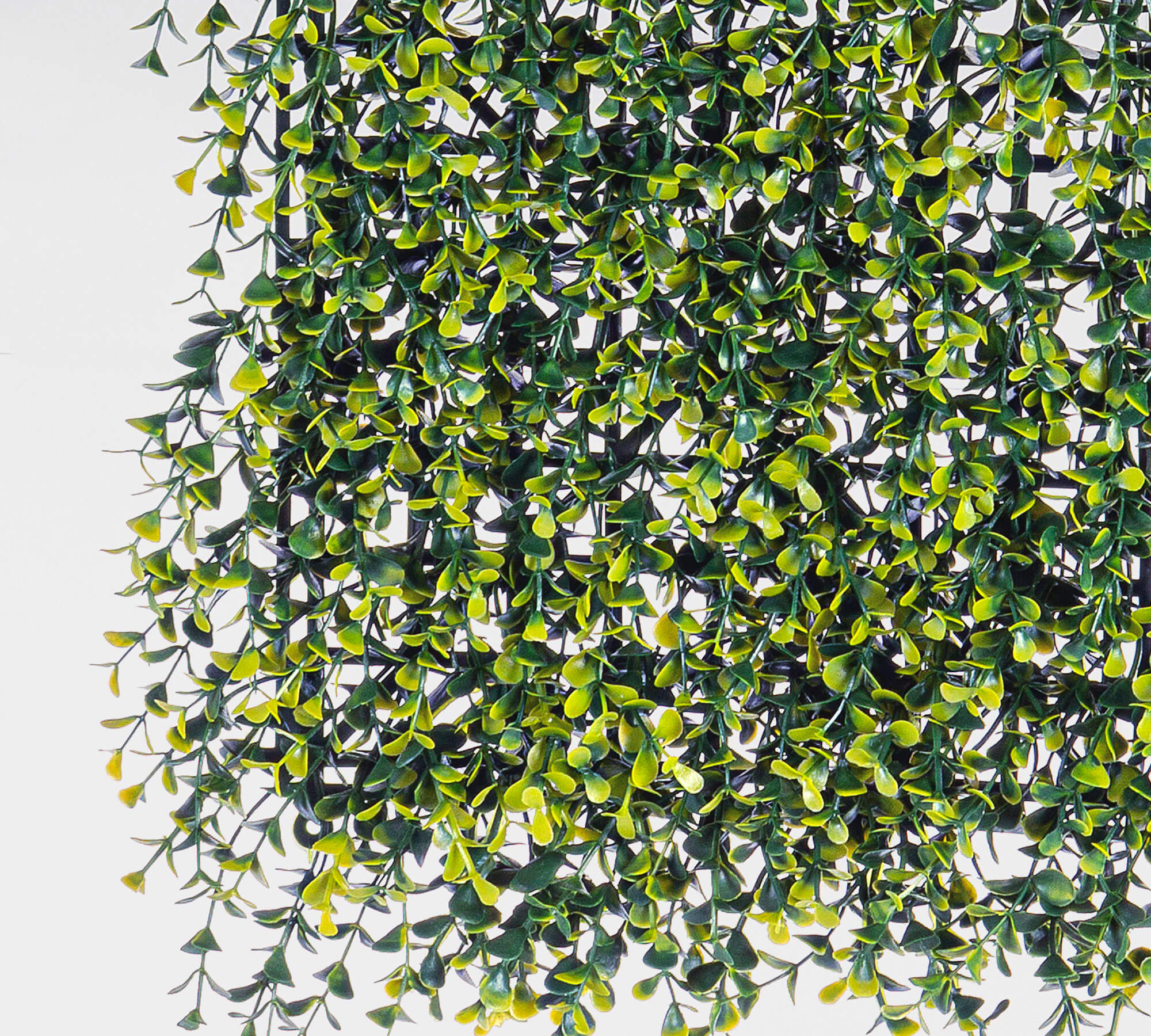 *PARETE SINTETICA GERMOGLI VERDE CM.50X50