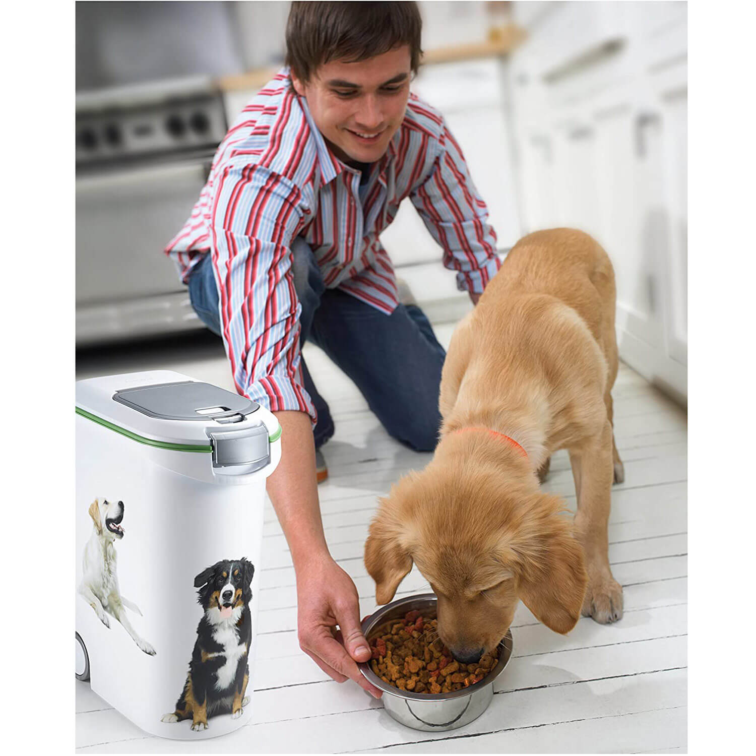 *PORTA CROCCHETTE CANE KG.20 CM.28X49H61