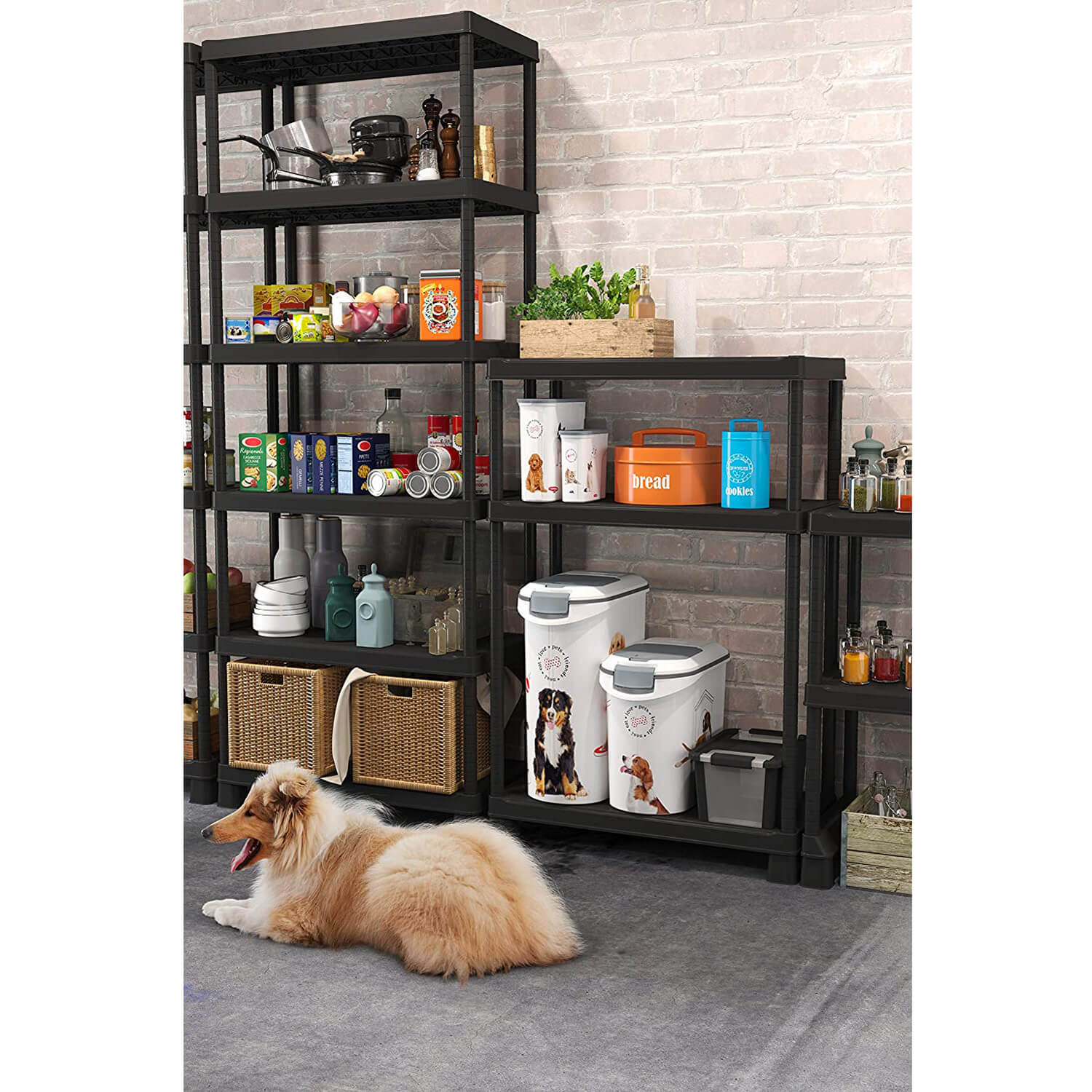*PORTA CROCCHETTE CANE KG.12 CM.28X49H43 CON RUOTE