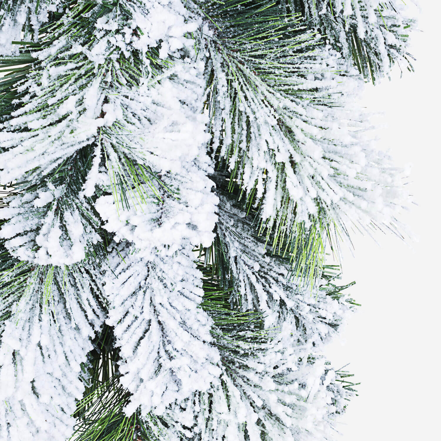 *FESTONE CERMIS H.180 INNEVATO