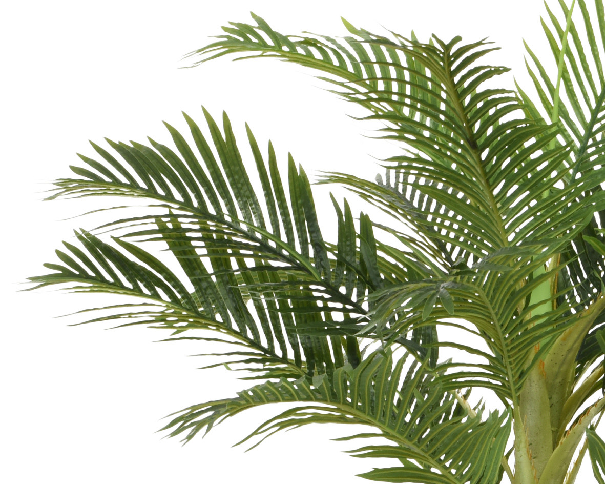 PALMA IN VASO H.230 VERDE