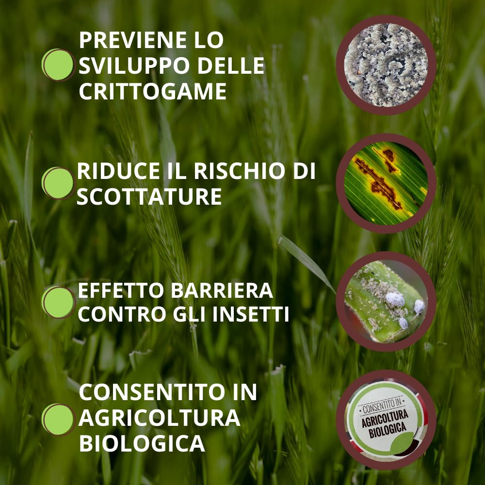 CONCIME BIO ZEOLITE+RAME KG.1