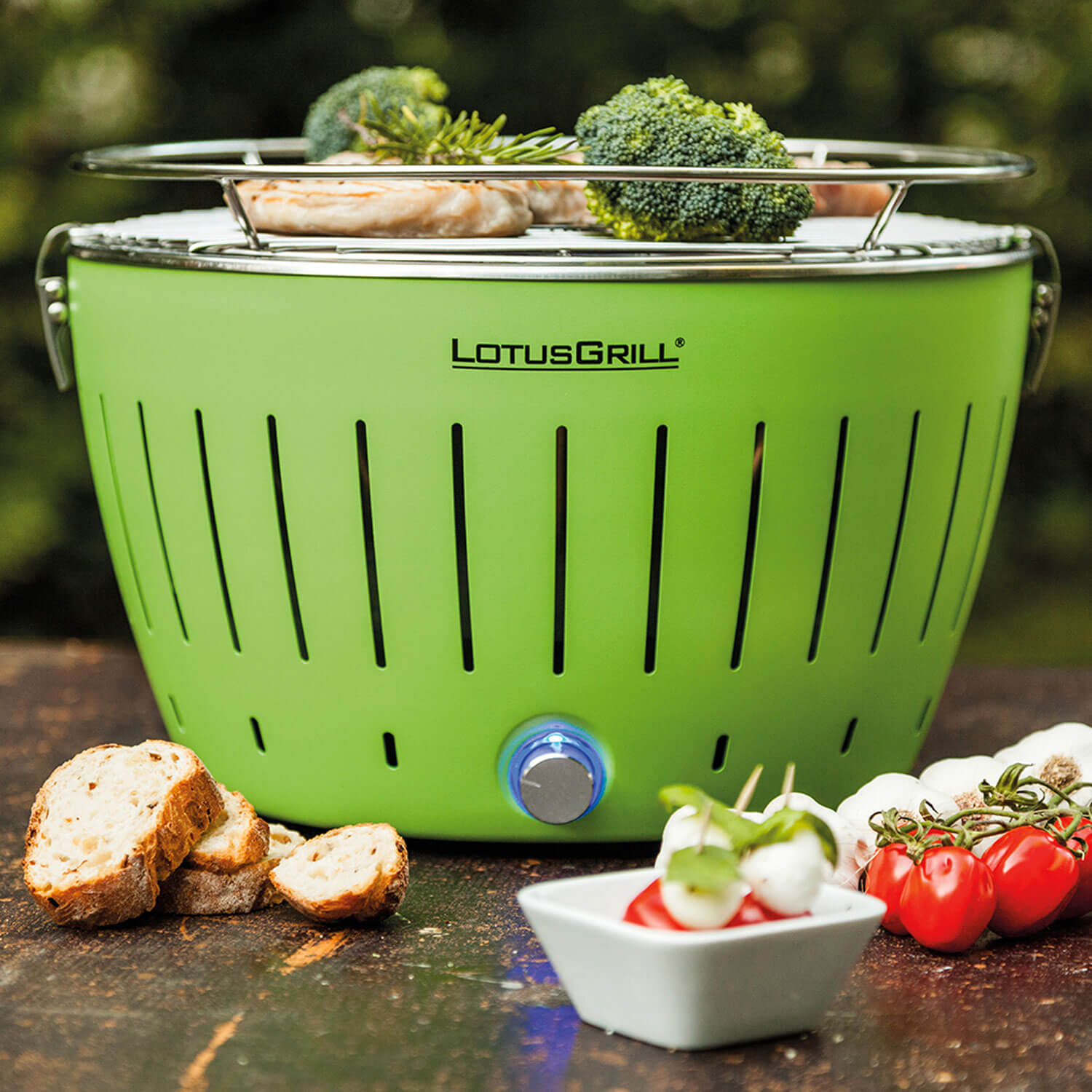 GRILL BARBECUE PORTATILE PER ESTERNO VERDE