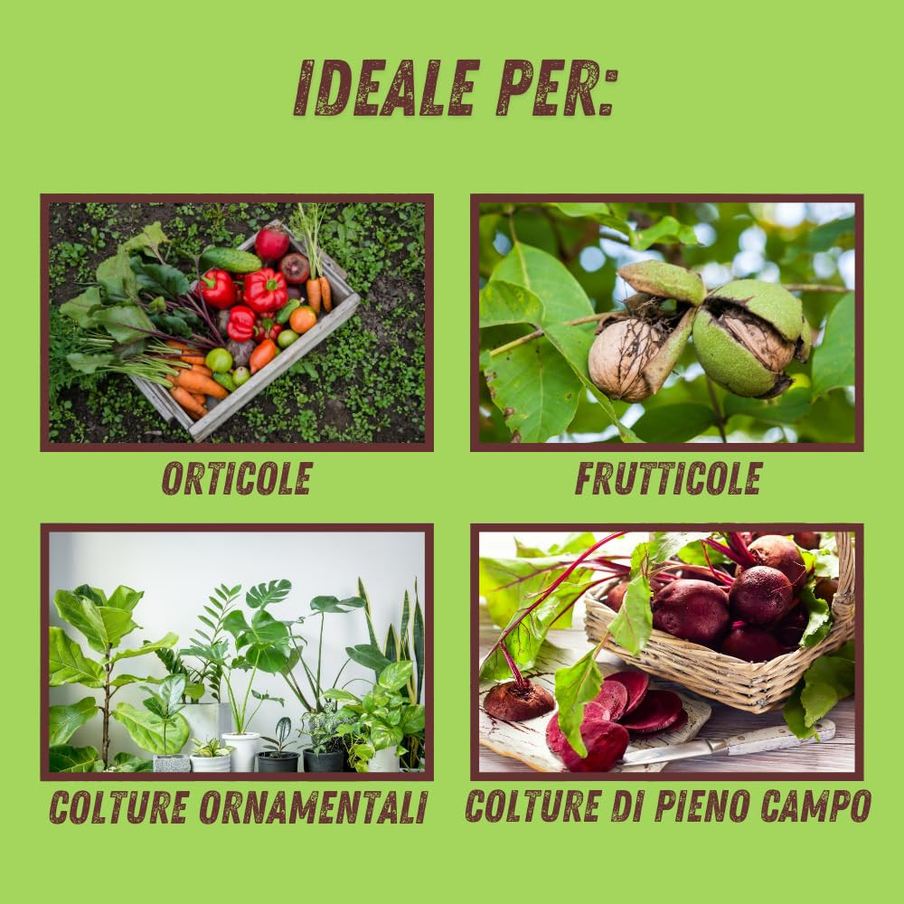 VITHAL EXPERT RAME WP 1KG.