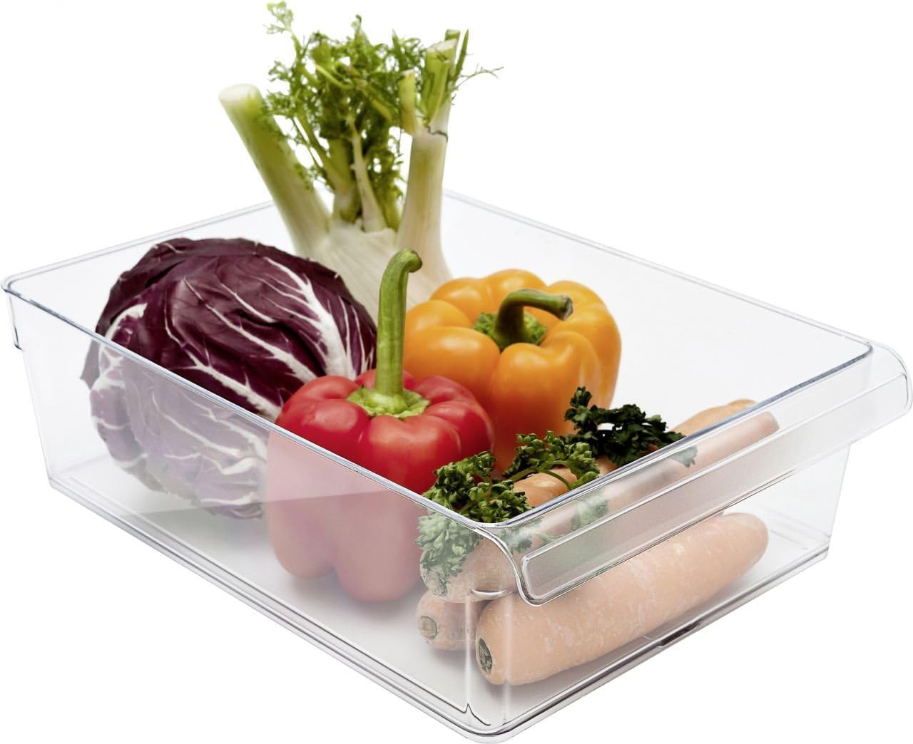 ORGANIZZATORE FRIGO CM.31X22X9