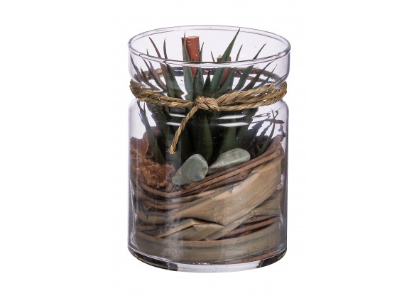 COMP.PIANTA+VASO D.10XH13.5 ASS.3