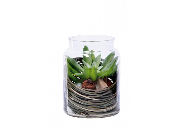 COMP.PIANTA+VASO D.13XH16 ASS.6