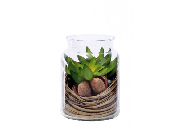 COMP.PIANTA+VASO D.13XH16 ASS.6