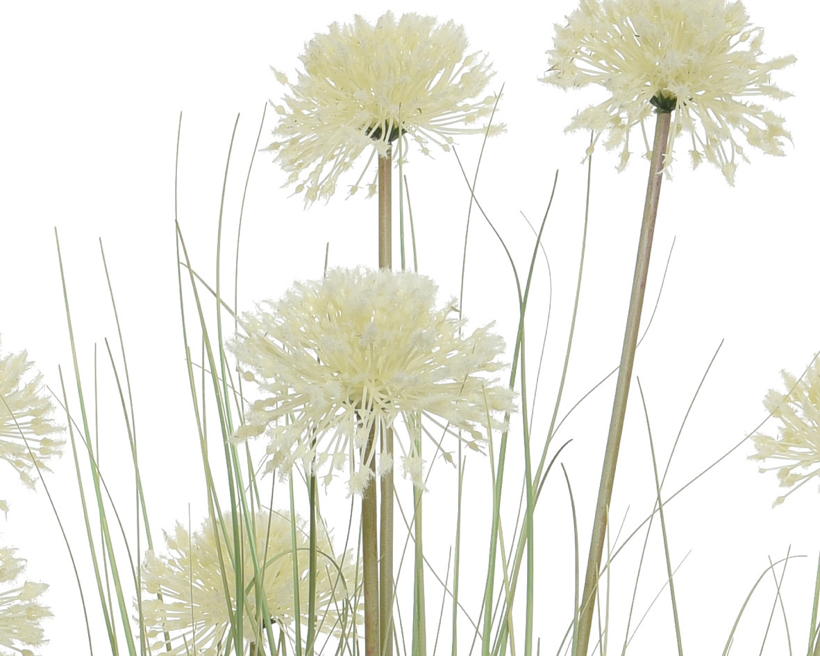ALLIUM IN VASO D.65X65X105H VERDE