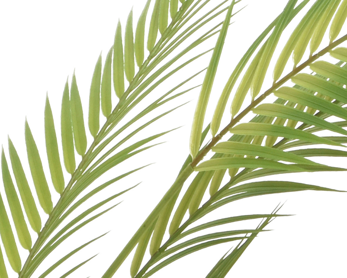 PALMA IN VASO D.90X150H VERDE