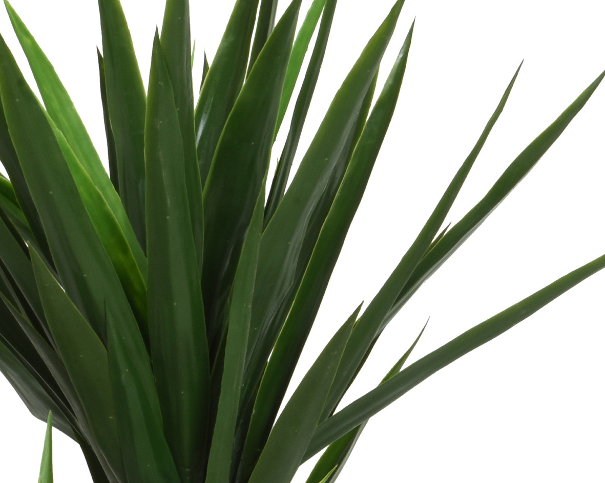 YUCCA IN VASO H.122 VERDE