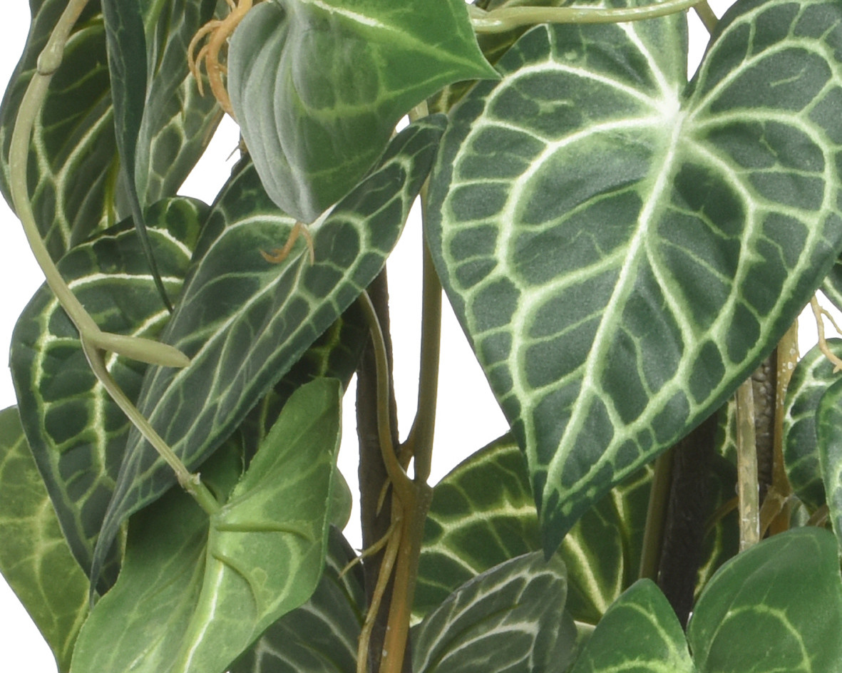ANTHURIUM IN VASO H.78 VERDE