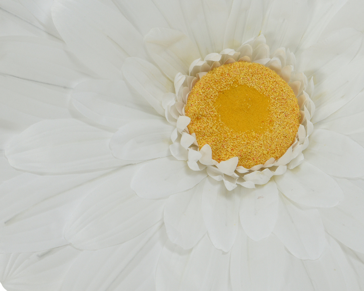 GERBERA H.150 BIANCO