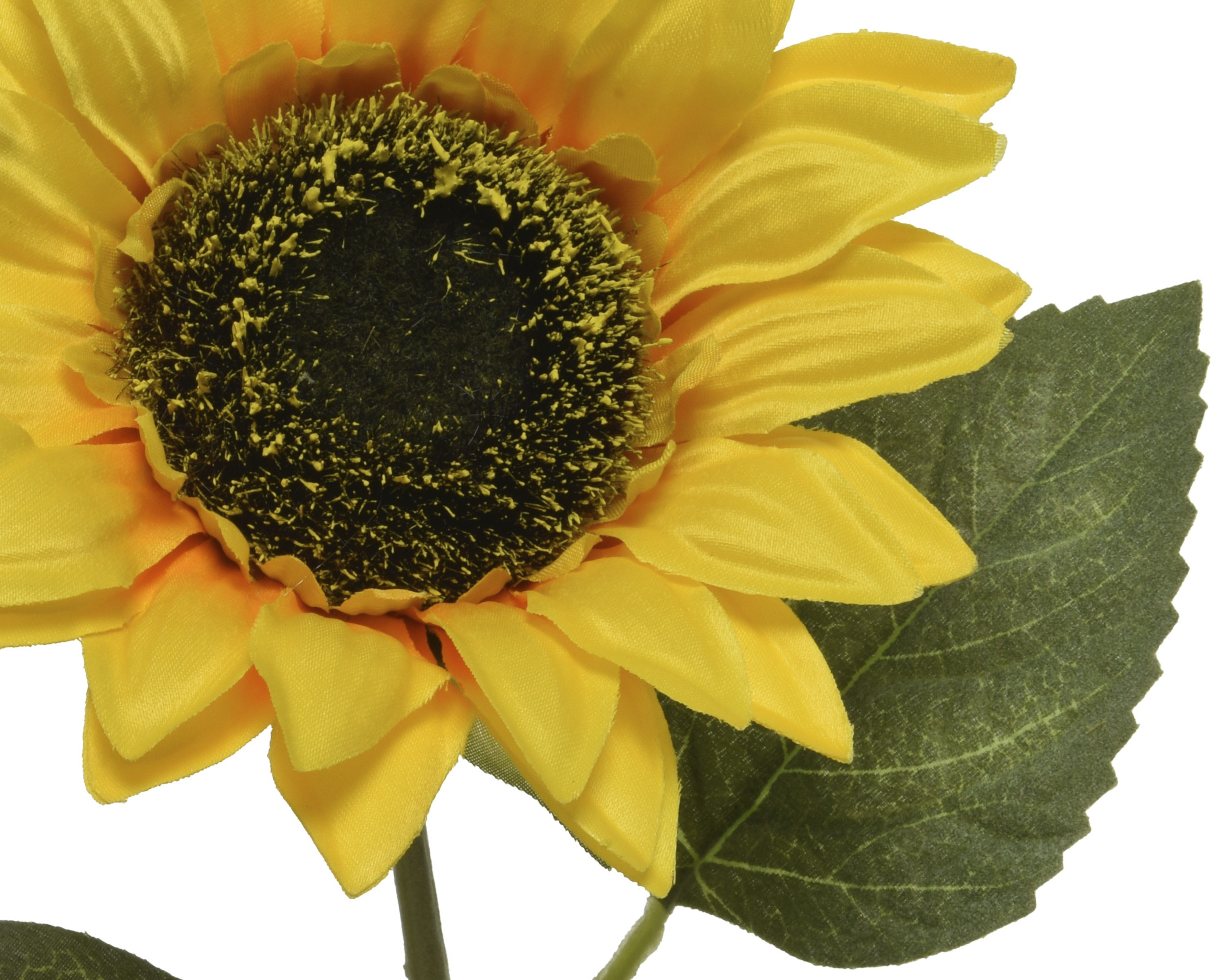 GIRASOLE D.14X64H GIALLO