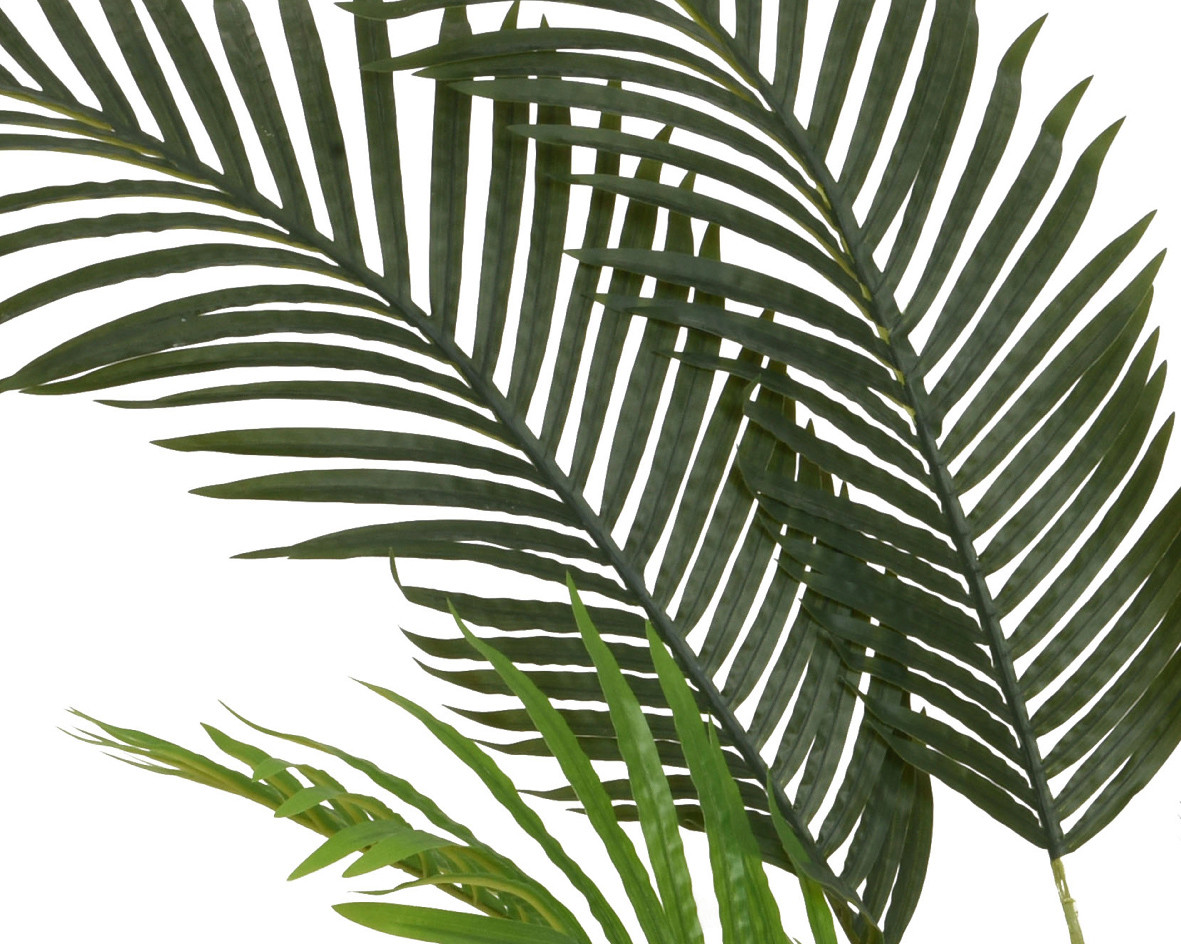 PALMA IN VASO H.60 VERDE