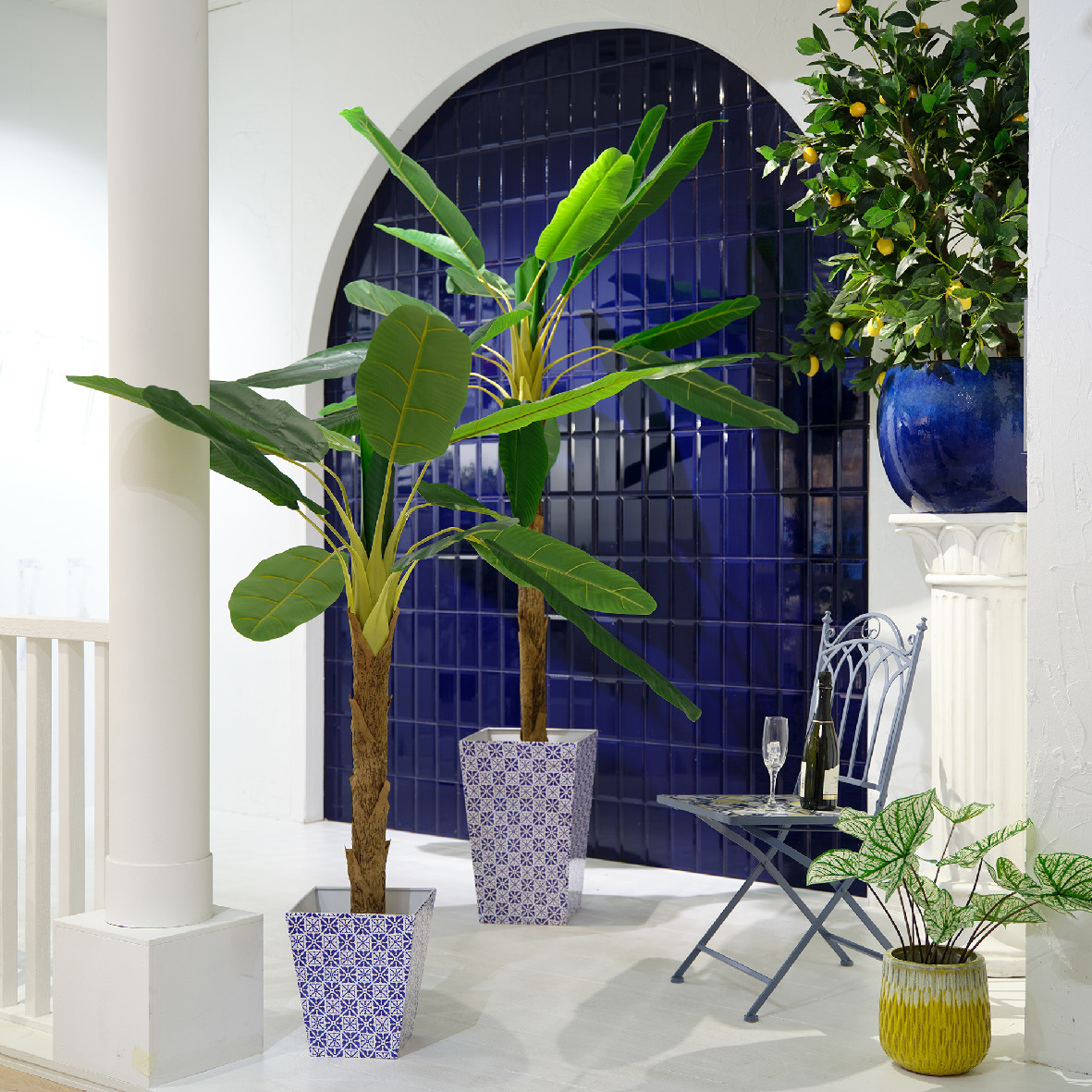 PIANTA DI BANANO IN VASO H.230CM VERDE