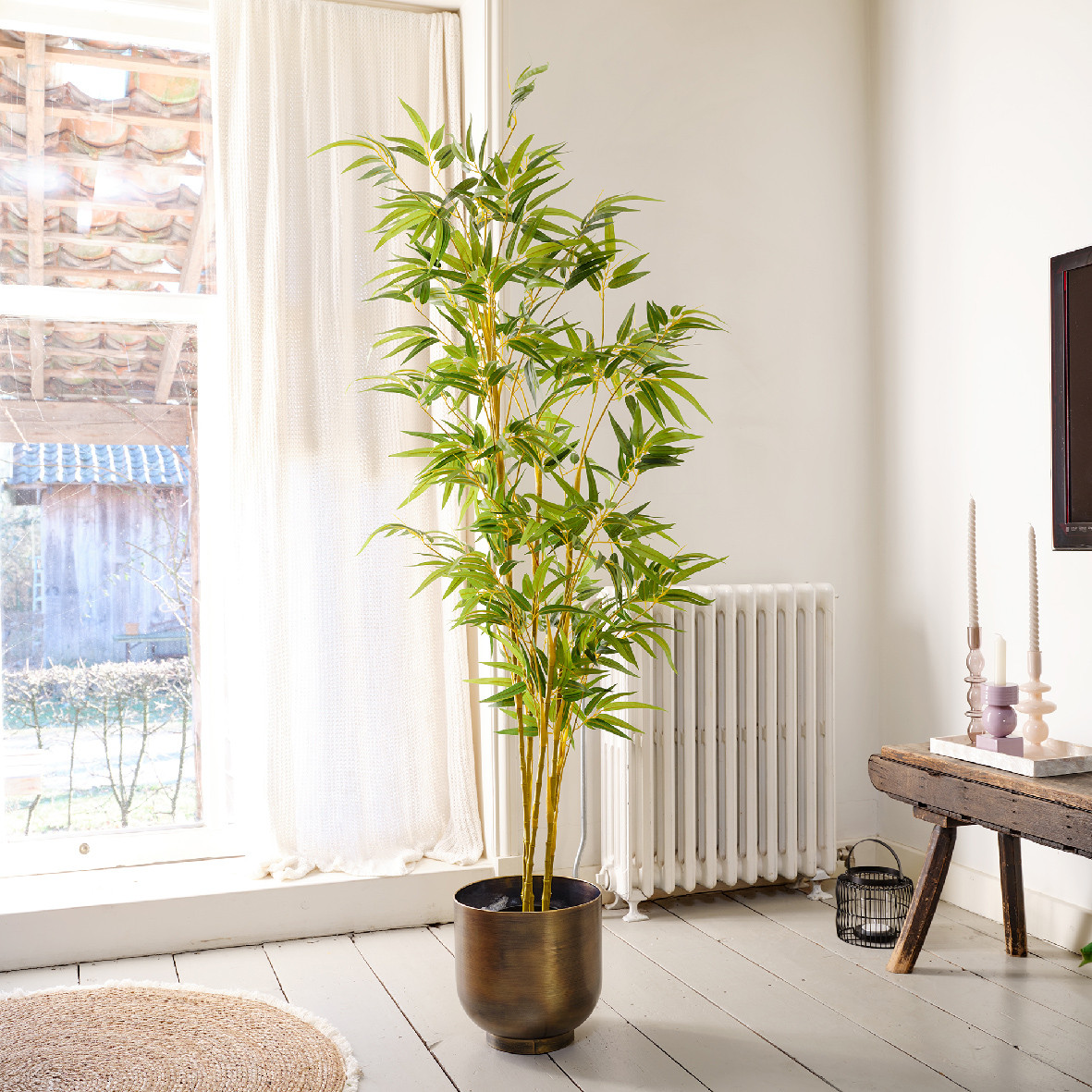 BAMBÙ IN VASO  H.150CM VERDE