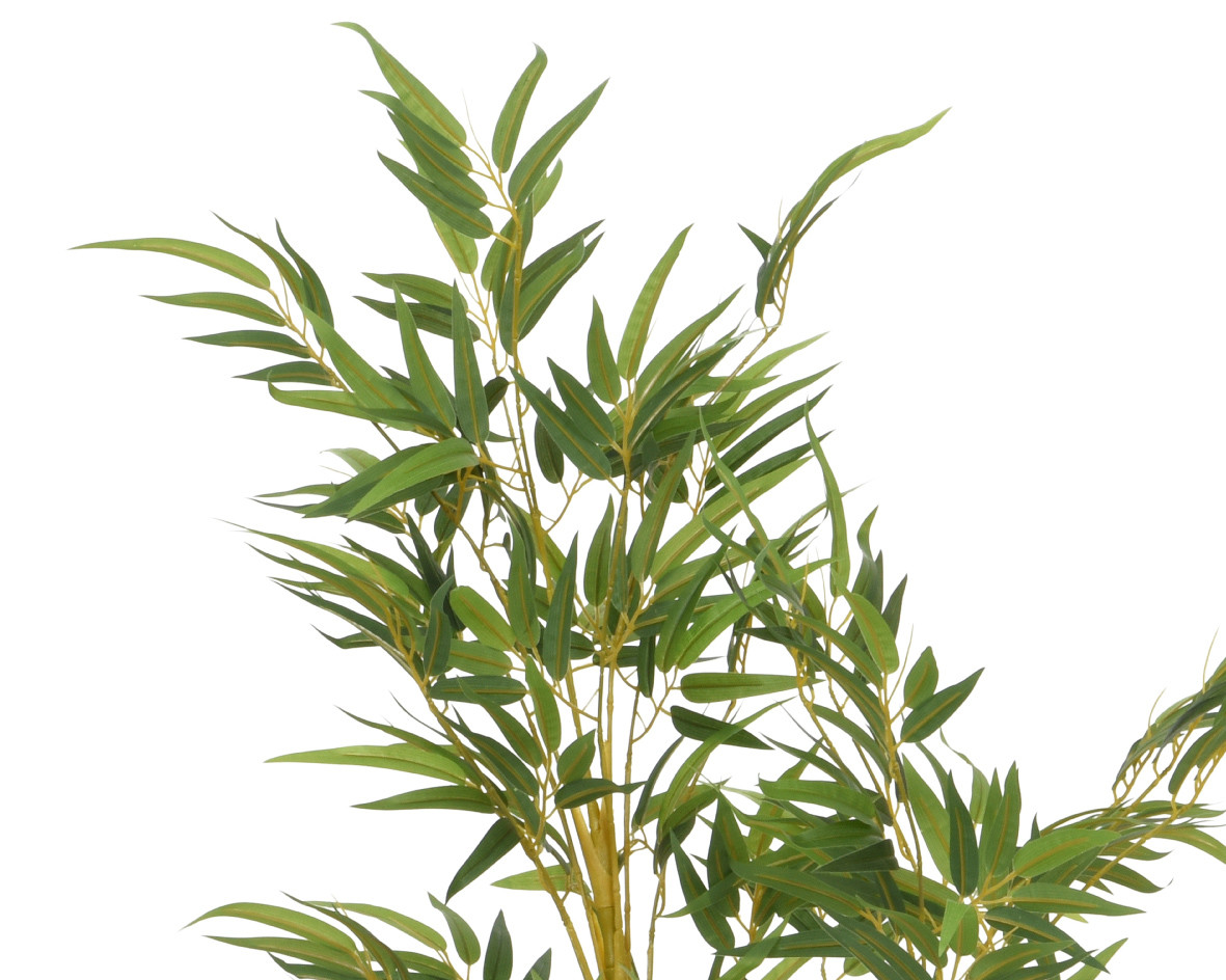 BAMBÙ IN VASO  H.150CM VERDE